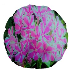 Hot Pink And White Peppermint Twist Garden Phlox Large 18  Premium Flano Round Cushions by myrubiogarden