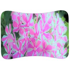 Hot Pink And White Peppermint Twist Garden Phlox Velour Seat Head Rest Cushion