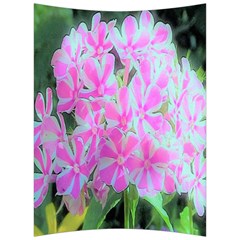 Hot Pink And White Peppermint Twist Garden Phlox Back Support Cushion by myrubiogarden