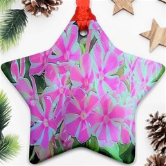 Hot Pink And White Peppermint Twist Garden Phlox Ornament (star) by myrubiogarden