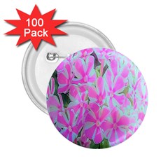 Hot Pink And White Peppermint Twist Garden Phlox 2 25  Buttons (100 Pack)  by myrubiogarden