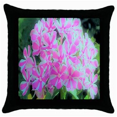 Hot Pink And White Peppermint Twist Garden Phlox Throw Pillow Case (black) by myrubiogarden