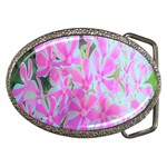 Hot Pink And White Peppermint Twist Garden Phlox Belt Buckles Front