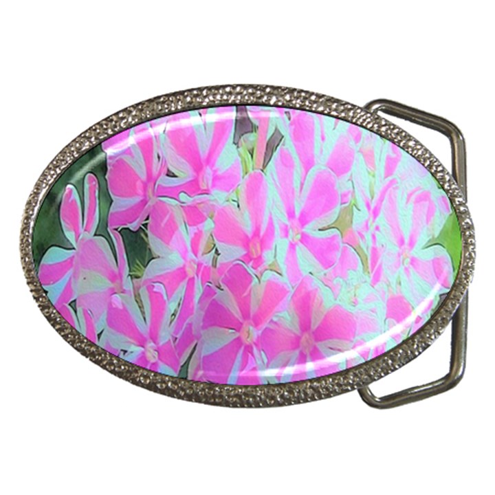 Hot Pink And White Peppermint Twist Garden Phlox Belt Buckles