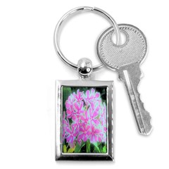 Hot Pink And White Peppermint Twist Garden Phlox Key Chains (rectangle)  by myrubiogarden