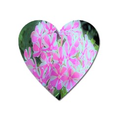 Hot Pink And White Peppermint Twist Garden Phlox Heart Magnet by myrubiogarden