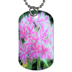 Hot Pink And White Peppermint Twist Garden Phlox Dog Tag (one Side) by myrubiogarden