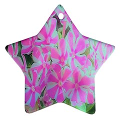 Hot Pink And White Peppermint Twist Garden Phlox Star Ornament (two Sides) by myrubiogarden