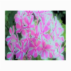 Hot Pink And White Peppermint Twist Garden Phlox Small Glasses Cloth (2-side) by myrubiogarden