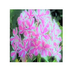 Hot Pink And White Peppermint Twist Garden Phlox Small Satin Scarf (square) by myrubiogarden