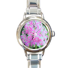 Hot Pink And White Peppermint Twist Garden Phlox Round Italian Charm Watch by myrubiogarden