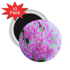 Hot Pink And White Peppermint Twist Garden Phlox 2 25  Magnets (10 Pack)  by myrubiogarden