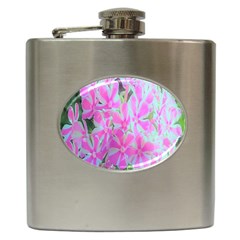 Hot Pink And White Peppermint Twist Garden Phlox Hip Flask (6 Oz) by myrubiogarden