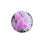 Hot Pink And White Peppermint Twist Garden Phlox Golf Ball Marker Front