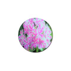 Hot Pink And White Peppermint Twist Garden Phlox Golf Ball Marker (4 Pack) by myrubiogarden