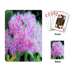 Hot Pink And White Peppermint Twist Garden Phlox Playing Cards Single Design by myrubiogarden