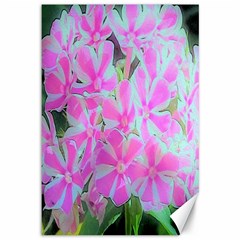 Hot Pink And White Peppermint Twist Garden Phlox Canvas 12  X 18  by myrubiogarden