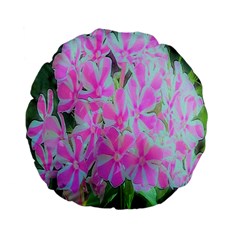 Hot Pink And White Peppermint Twist Garden Phlox Standard 15  Premium Flano Round Cushions by myrubiogarden