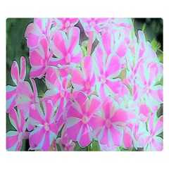 Hot Pink And White Peppermint Twist Garden Phlox Double Sided Flano Blanket (small)  by myrubiogarden