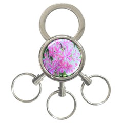 Hot Pink And White Peppermint Twist Garden Phlox 3-ring Key Chains by myrubiogarden