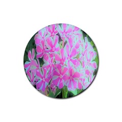 Hot Pink And White Peppermint Twist Garden Phlox Rubber Coaster (round)  by myrubiogarden