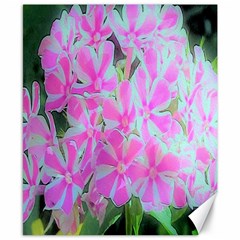 Hot Pink And White Peppermint Twist Garden Phlox Canvas 8  X 10  by myrubiogarden