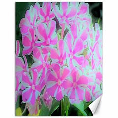 Hot Pink And White Peppermint Twist Garden Phlox Canvas 18  X 24  by myrubiogarden