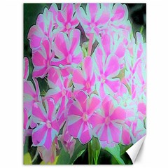 Hot Pink And White Peppermint Twist Garden Phlox Canvas 36  X 48  by myrubiogarden