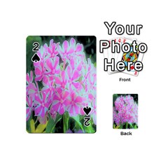 Hot Pink And White Peppermint Twist Garden Phlox Playing Cards 54 (mini) by myrubiogarden