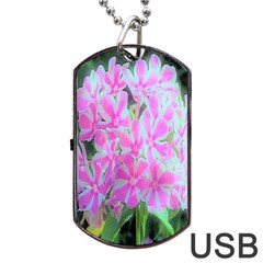 Hot Pink And White Peppermint Twist Garden Phlox Dog Tag Usb Flash (one Side) by myrubiogarden