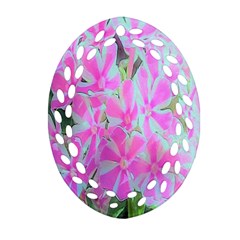 Hot Pink And White Peppermint Twist Garden Phlox Oval Filigree Ornament (two Sides) by myrubiogarden