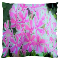 Hot Pink And White Peppermint Twist Garden Phlox Large Cushion Case (one Side) by myrubiogarden