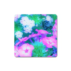 Pink, Green, Blue And White Garden Phlox Flowers Square Magnet by myrubiogarden