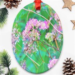 Invincibelle Spirit Hot Pink Hydrangeas On Aqua Green Ornament (oval) by myrubiogarden