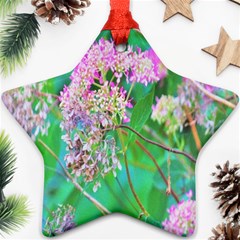 Invincibelle Spirit Hot Pink Hydrangeas On Aqua Green Ornament (star) by myrubiogarden