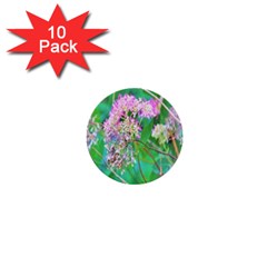 Invincibelle Spirit Hot Pink Hydrangeas On Aqua Green 1  Mini Buttons (10 Pack)  by myrubiogarden