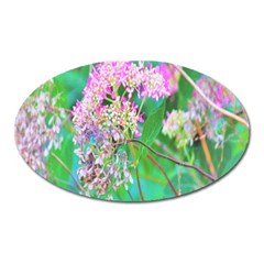 Invincibelle Spirit Hot Pink Hydrangeas On Aqua Green Oval Magnet by myrubiogarden