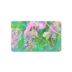 Invincibelle Spirit Hot Pink Hydrangeas On Aqua Green Magnet (name Card) by myrubiogarden