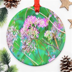 Invincibelle Spirit Hot Pink Hydrangeas On Aqua Green Round Ornament (two Sides) by myrubiogarden