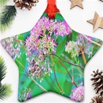 Invincibelle Spirit Hot Pink Hydrangeas On Aqua Green Star Ornament (Two Sides) Front