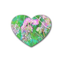 Invincibelle Spirit Hot Pink Hydrangeas On Aqua Green Heart Coaster (4 Pack)  by myrubiogarden