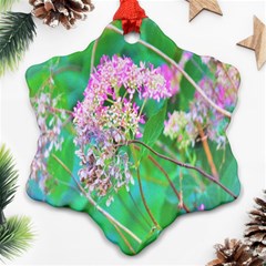 Invincibelle Spirit Hot Pink Hydrangeas On Aqua Green Ornament (snowflake) by myrubiogarden