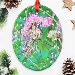 Invincibelle Spirit Hot Pink Hydrangeas On Aqua Green Oval Filigree Ornament (two Sides) by myrubiogarden