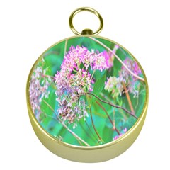 Invincibelle Spirit Hot Pink Hydrangeas On Aqua Green Gold Compasses by myrubiogarden