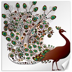 Peacock Graceful Bird Animal Canvas 12  X 12  by Wegoenart