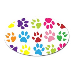 Paw Print Paw Prints Background Oval Magnet by Wegoenart