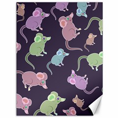 Animals Mouse Cartoon Pet Canvas 36  x 48 