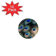 Peacock Feathers Bird Colorful 1  Mini Magnet (10 Pack) 