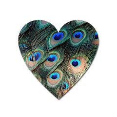 Peacock Feathers Bird Colorful Heart Magnet by Wegoenart