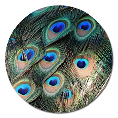 Peacock Feathers Bird Colorful Magnet 5  (round) by Wegoenart